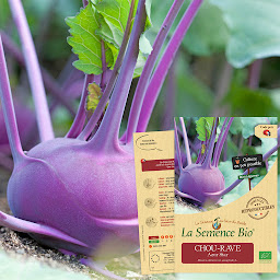 Photo n°8 de La Semence Bio à Rousset (Maraîcher)