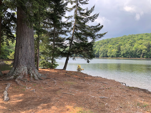 Indian Lake Islands Campground - Campsite # 31