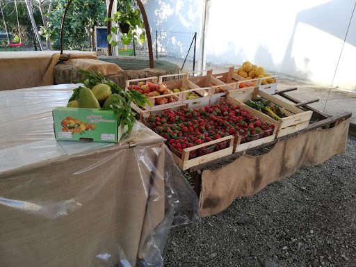 Gitto Agricoltura Biologica