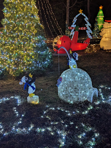 Freeman Lights - United States