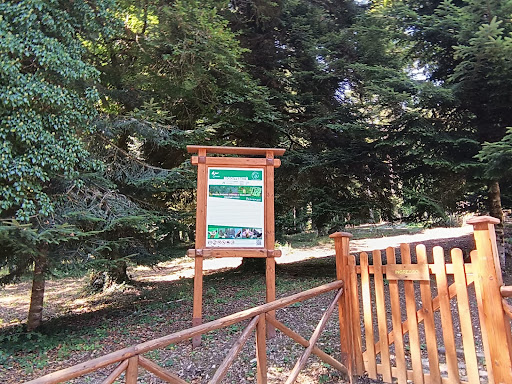 Area Picnic Collemeluccio - Thumbnail
