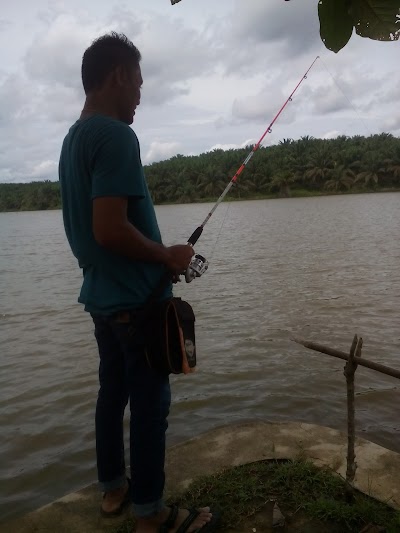 Photos of National Park Tesso Nilo