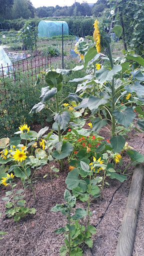 partagé de Pluvigner skol meheu Garden