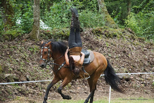 Photo n°4 de Vikinger - Spectacle Equestre Auvergne à Vergheas (Entraîneur de chevaux)