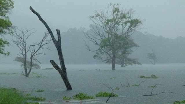 Buduruwagala