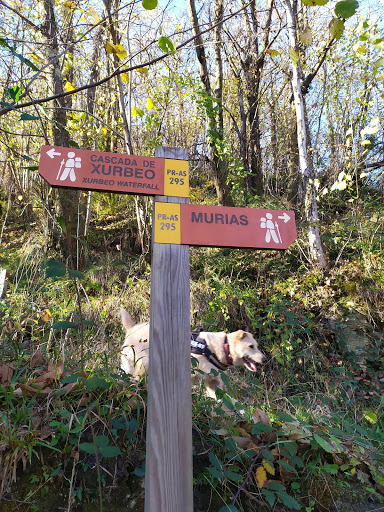 Inicio Ruta Cascada de El Xurbéu - Thumbnail