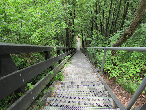 Vakantiepark De Maarnse Berg - Thumbnail