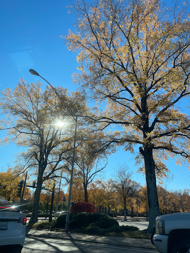 POPLAR AVENUE at KIRBY PARKWAY