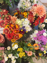 Photo n°15 de ola ~ Cantina & Buvette à Soulac-sur-Mer (Restaurant)