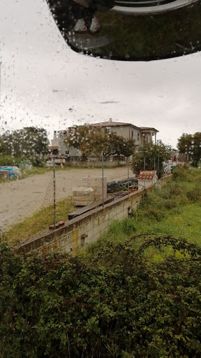 Treesseci sas