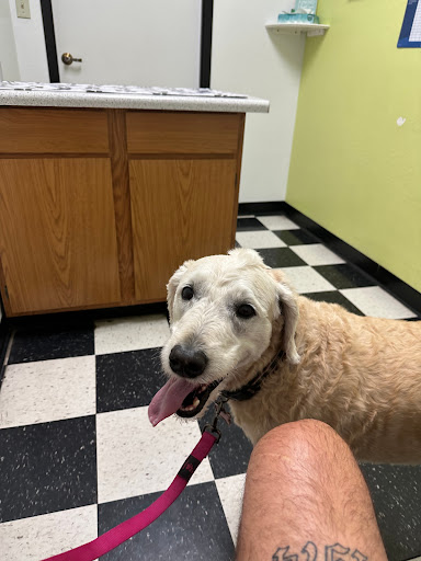 North Ranch Animal Hospital - Thumbnail