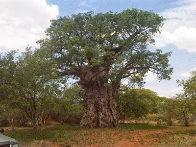 Photos of Redbaan Game Farm
