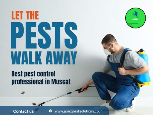 Apex offers safe, professional, and effective pest control treatments in Muscat. Besides the home…