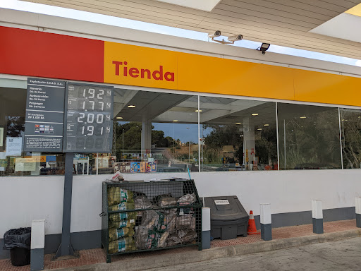 SHELL CABO PINO - Visual
