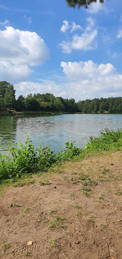Angelteich Westerwiede - Thumbnail