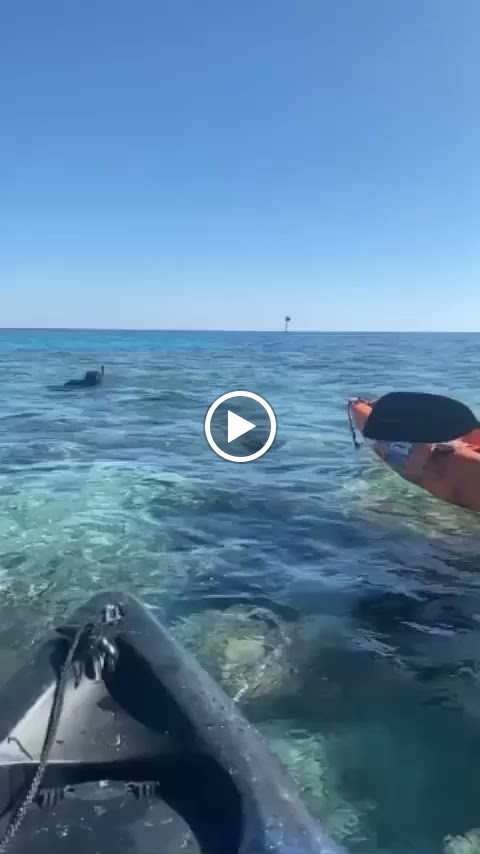 ابو عبدالعزيز رحلات بحريه ومنسق رحلات جزر - صورة 2