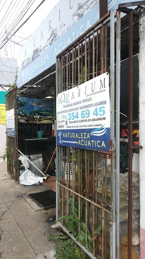 Aquarium Naturaleza Acuatica