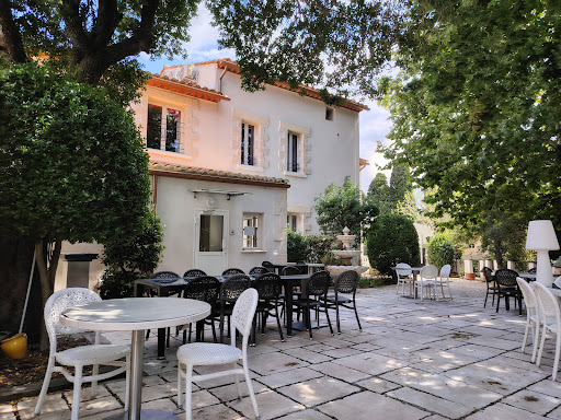 Le Jardin Des Oliviers