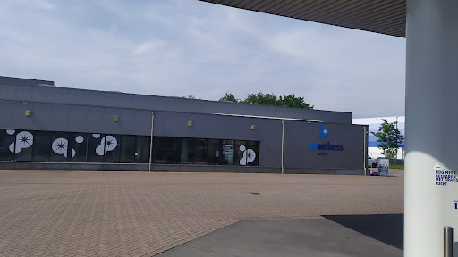 Tango Venray - Visual