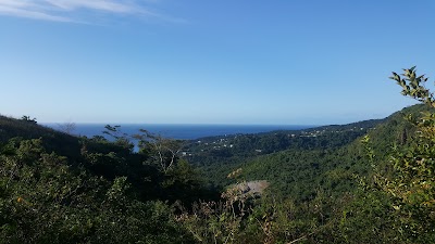 Photos of National Bird Wildlife Habitat