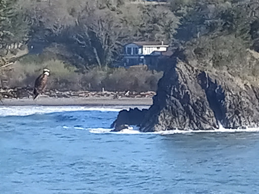 Mill Beach - Visual