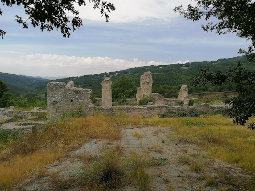 Trebula - Visual