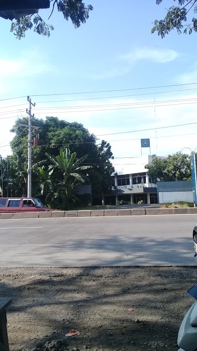car-dealer