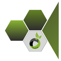 Photo n°3 de TERAFORM à Saint-Pierre-du-Perray (Entreprise de terrassement)