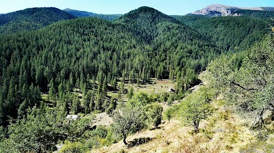 Bosco delle Navette