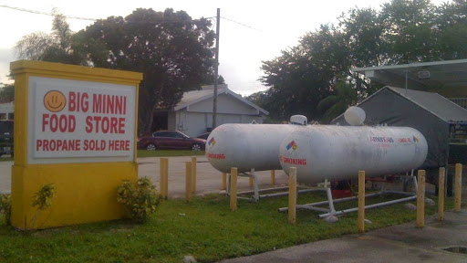 Propane Refill Station - Visual