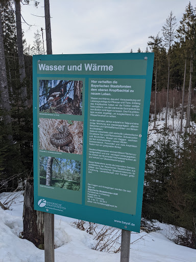 Kropfbachweiher - Visual