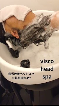visco.hair