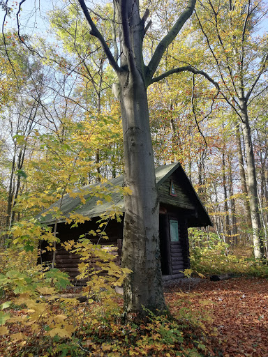 Graburg - Visual