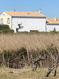 Photo n°62 de Lou Caloun à Saintes-Maries-de-la-Mer (Lodge)