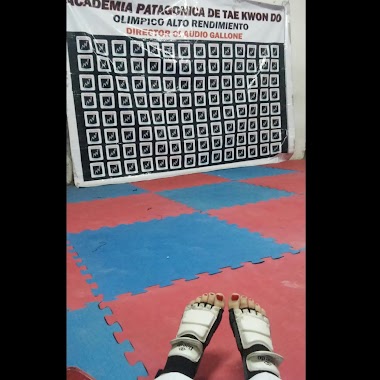 Academia Patagónica De Taekwondo Olímpico De Alto Rendimiento, Author: Lucia Lagos