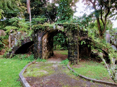 Photos of Bath Botanical Garden