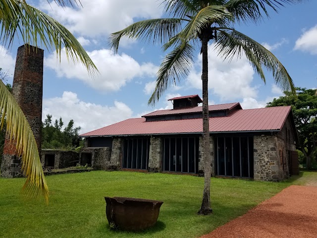 Maison de la Canne