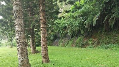 Photos of Bali Ubud Homestay