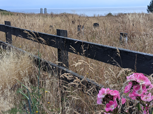 Harling Point - Thumbnail