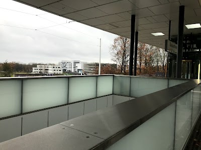 university