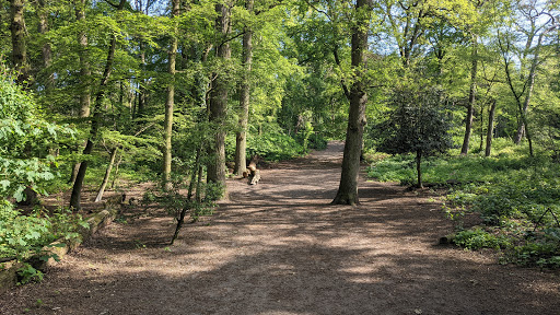Wandelbos Groenendaal Logo