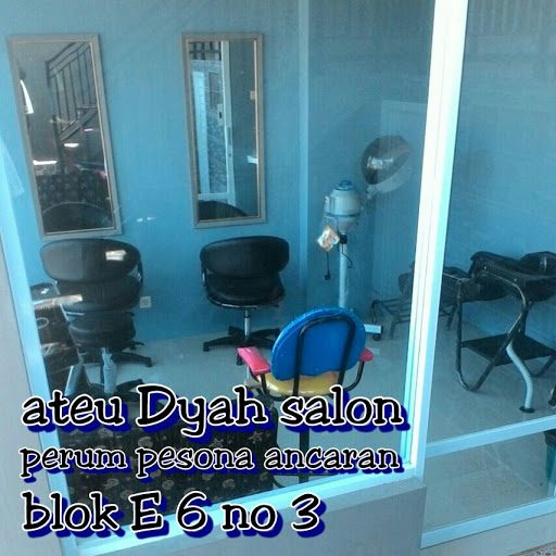 Ateu Dyah Salon