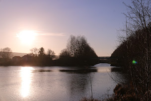 Photo n°1 de Gentlecrevisse à Aÿ-Champagne (Association bénévole)
