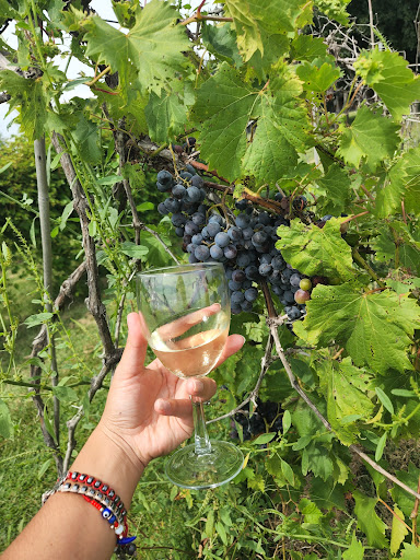 Black Silo Winery Gallery - United States