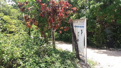 Photos of Blue Hole Mineral Spring | Jamaica