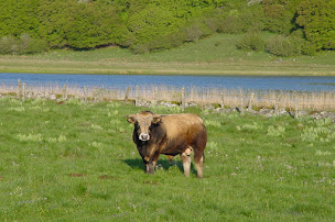 Photo n°5 de MALIGE JEAN JACQUES conseiller immobilier 3Gimmo AUBRAC MARGERIDE à Fontans (Agence immobilière)