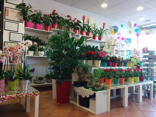 Bambu Floristas - Thumbnail
