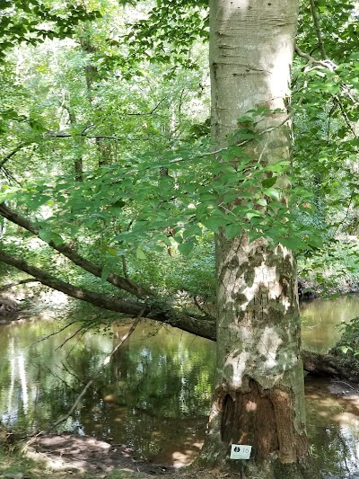 Adkins Arboretum