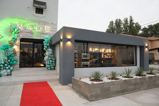 XADE Piedras Negras Gallery - United States