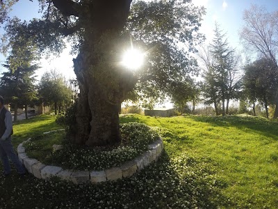 Photos of دير سيدة ديرونا العجائبية - Deir Saydet Dayrouna